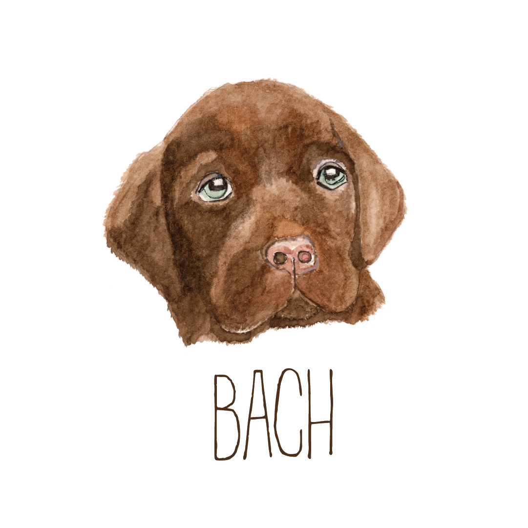 BACH