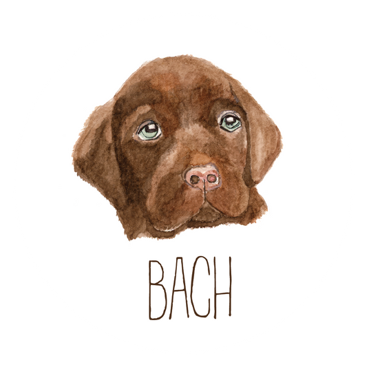 BACH