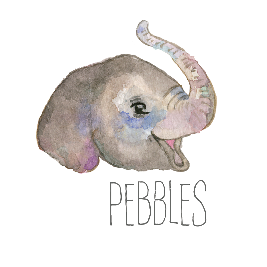 PEBBLES