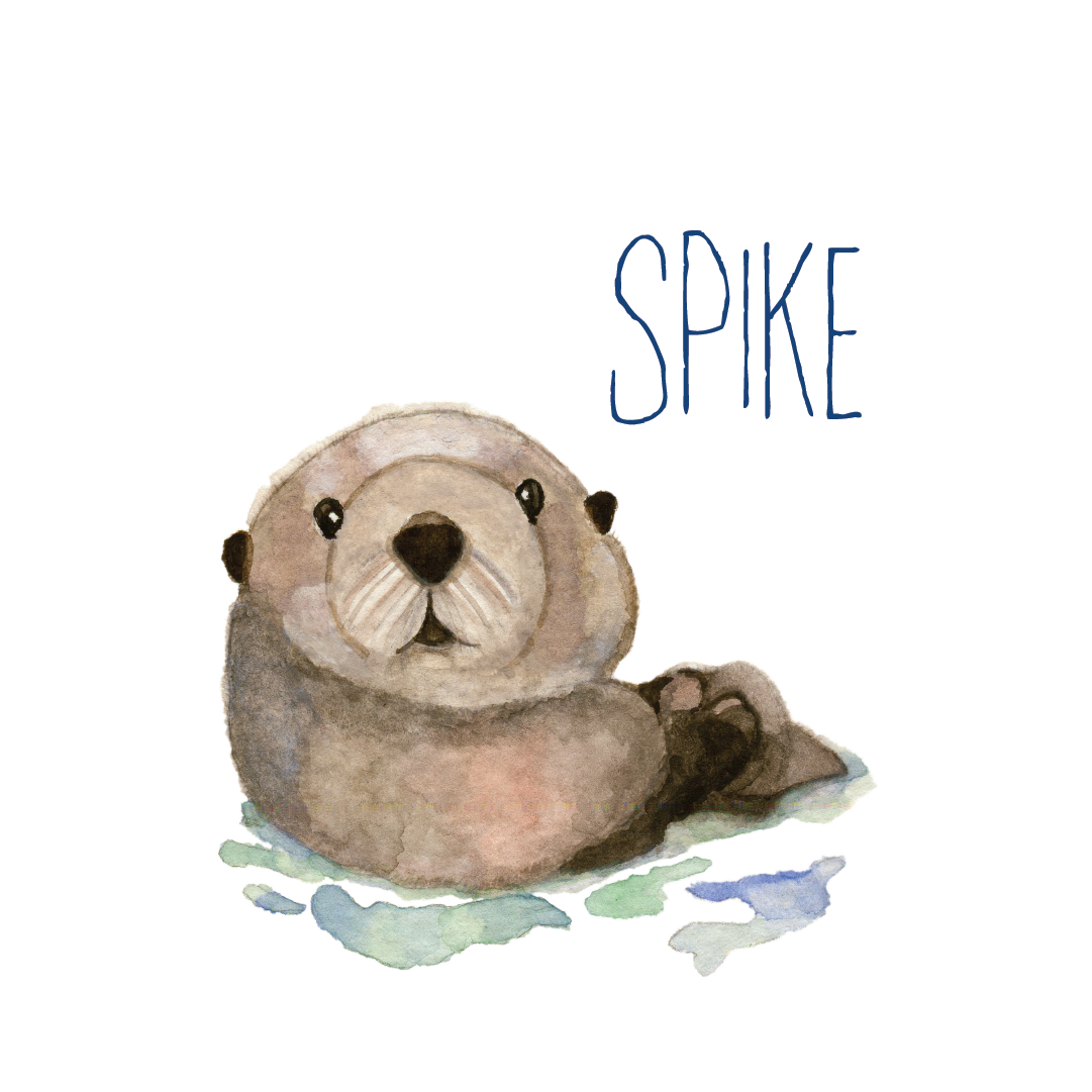 SPIKE